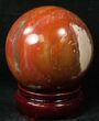 Colorful Petrified Wood Sphere #17826-1